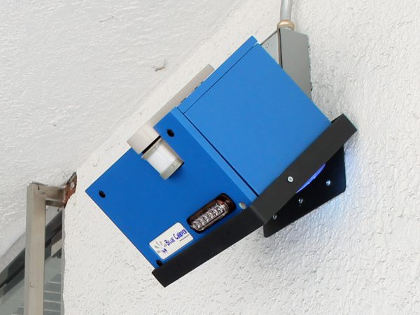 Barney Bracket - Image 2